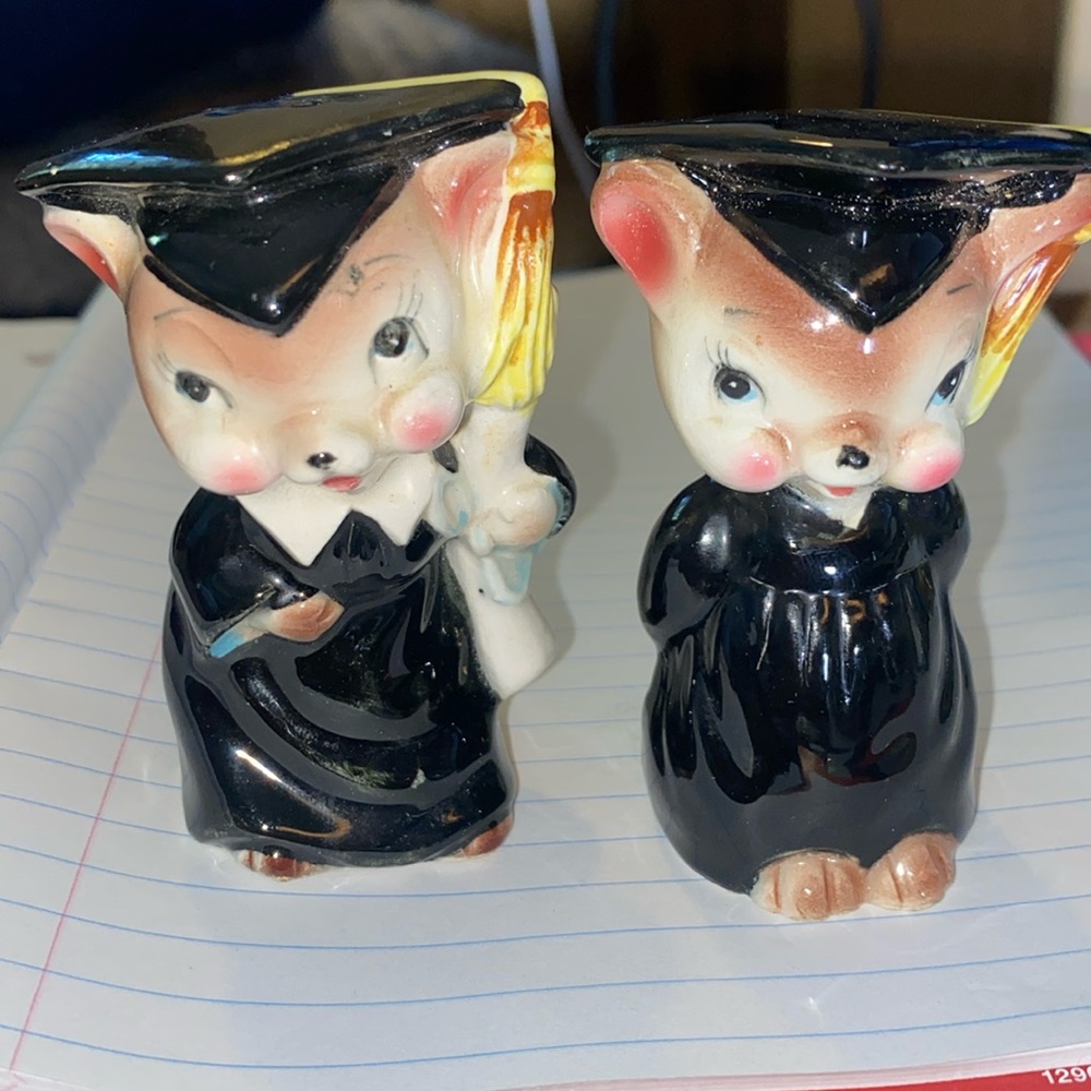 Graduate Japan salt and pepper shakers